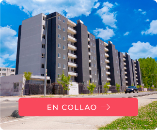 Fuentes de Miguel Collao