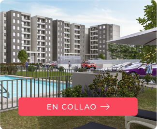 Fuentes de Miguel Collao