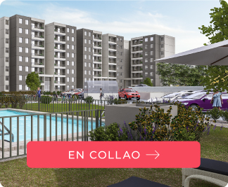 Fuentes de Miguel Collao